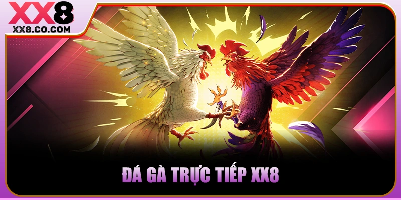 XX8 - Trang Cược Lớn, Thắng Càng Khủng - Nạp 99k Thêm 99k 22 Đá gà trực tiếp XX8